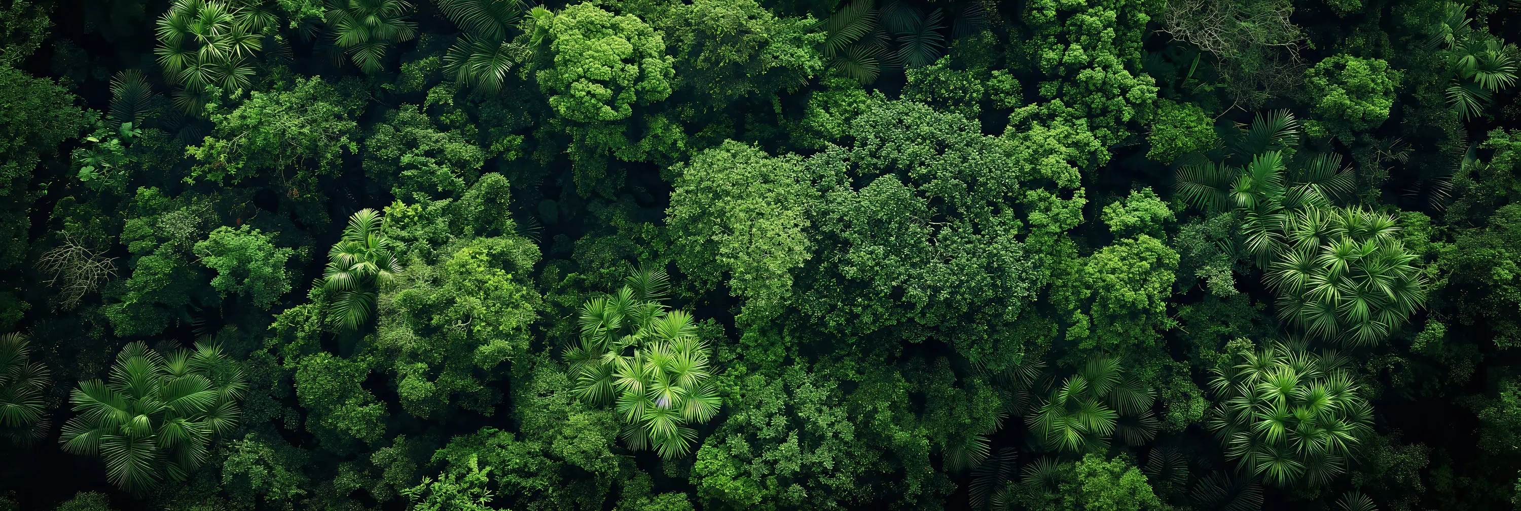Environmental Management System